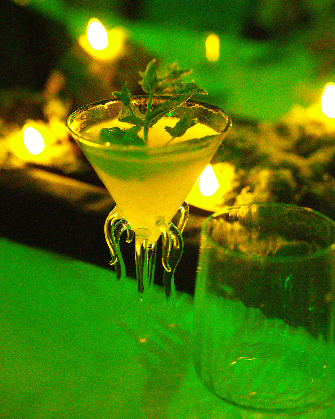 Green-Orchid---Octopus-1080x1350