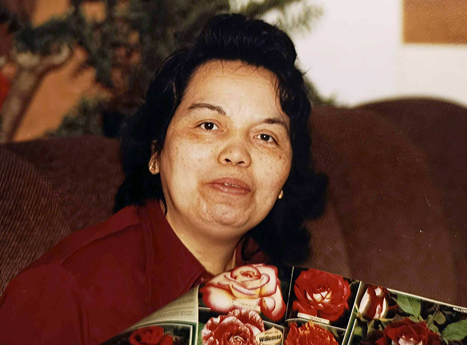 Green Orchid - Oma Olly bloemen 1950x1440